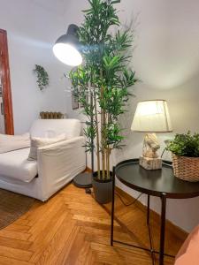 DEA DREAMS - Old Style Milano