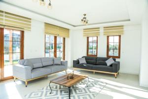 Dalyan Villa SteelPen