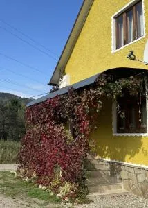 Гуцулик - Татаров