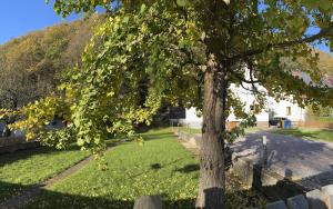 Ferienhaus Ginkgo Biloba