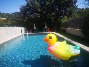 Au goût du miel. Luberon-Provence.