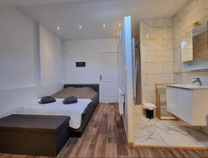 Appartements Elegance Provinoise Logement classe 3 etoiles : photos des chambres