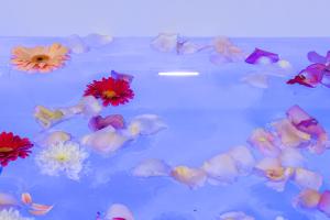 Host Inn Fancy Sūite