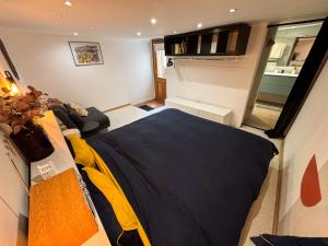 Appartements La Dependance d-Obernai - Parking Gratuit - Centre Ville - Commerces a proximite : photos des chambres