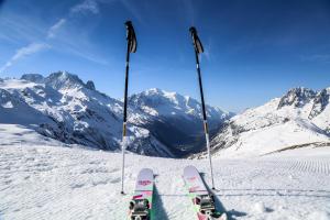 Appartements Viachamonix Lodges I Confort & Nature, Skis aux pieds : photos des chambres