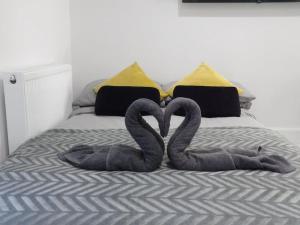 Modern 3BHK near Edinburgh zoo