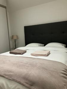 Joli duplex proche du lac Léman