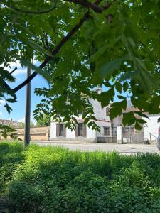 Casa e Giardino Relax in Crema