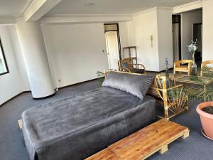 Bello Departamento en el Prado