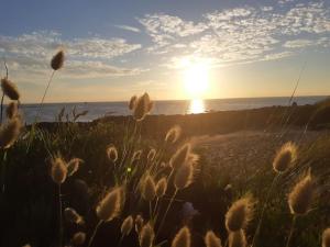 Les pieds dans leau - Cosqueville Vicq-mer