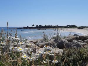 Maisons de vacances Les pieds dans l-eau - Cosqueville Vicq-mer : photos des chambres