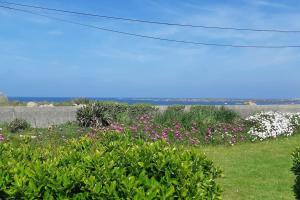 Maisons de vacances Les pieds dans l-eau - Cosqueville Vicq-mer : Maison 2 Chambres