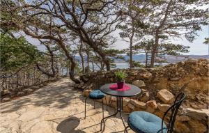 Nice Apartment In Novalja With Kitchen 