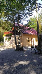 Holiday home in Bribir 53135