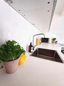 Unique and Charming 2 Bedroom Apartment with Free Parking