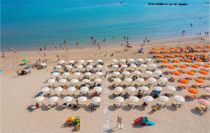 Pet Friendly Apartment