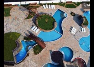 Golden Dolphin Supreme