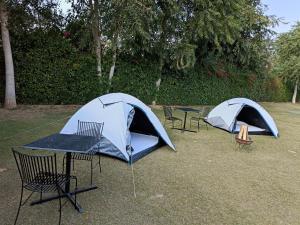 WILD RIDGE SARISKA RESORT