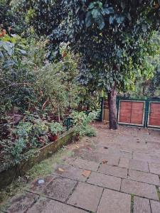 NIT Calicut Apartment