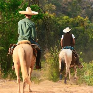 Rancho Reencuentro Eco Hotel & Cabalgatas