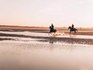 Appartements Appartement 2 pieces, 5 pers., parking, proche plage - FR-1-465-124 : photos des chambres