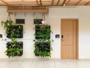 Masri Living by Daphna Management