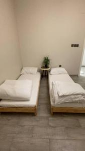 شاليه الياسمين