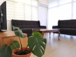 Bunglow 5 Rooms 5 Cars Wifi Washer Delta Homestay