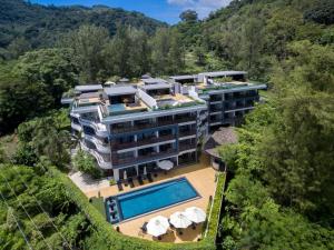 Nakalay Palm by Thaire