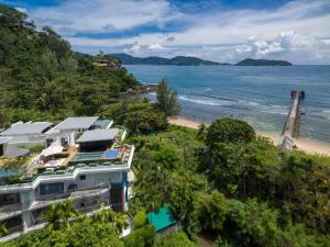 Nakalay Palm by Thaire