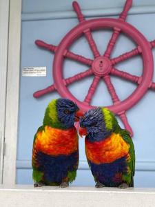 Laguna Blue Beach House-WIFI-Beach Access