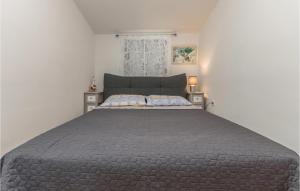 Cozy Apartment In Pakostane With Wifi