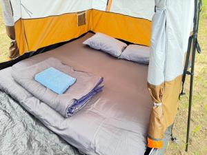 Tent Room ผู้ใหญ่วุ้น