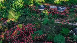 วิวดี ป่าเหมี้ยง โฮมสเตย์