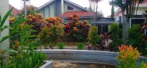 Kampung Guest House