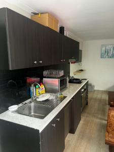 Palm Hamilton Backpacker