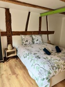 Cigognes et Bretzel - BARR - 5 guests