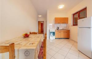 Gorgeous Apartment In Kustici With Wifi