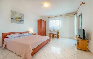 Cozy Apartment In Kustici With Wifi 