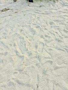 Antonios Loft Laiya Batangas