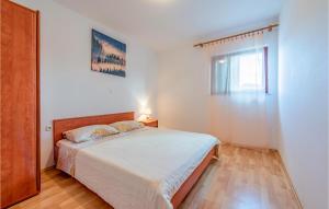 Gorgeous Apartment In Kustici With Wifi