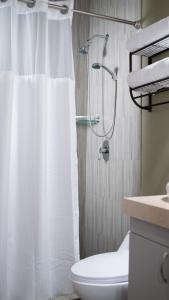 Casa Carmelia La Condesa