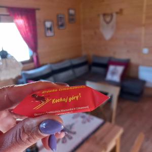 Komfortowy domek z kominkiem, domek z balią - LIMANOWA - NOWY SĄCZ