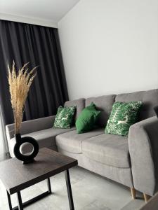 Business and Friendly Apartments Rzeszów self check-in