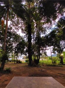 House On The Bay2, Koh Yao