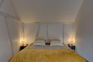 Appartements Le Rabelais - Appt a 5min du chateau dAmboise : photos des chambres