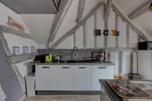 Appartements Le Rabelais - Appt a 5min du chateau dAmboise : Appartement 1 Chambre