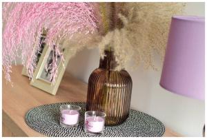 Color 24 Apartament VIII