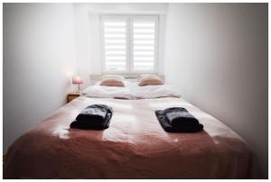 Color 24 Apartament VIII