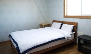 Jeju Woongine Pension